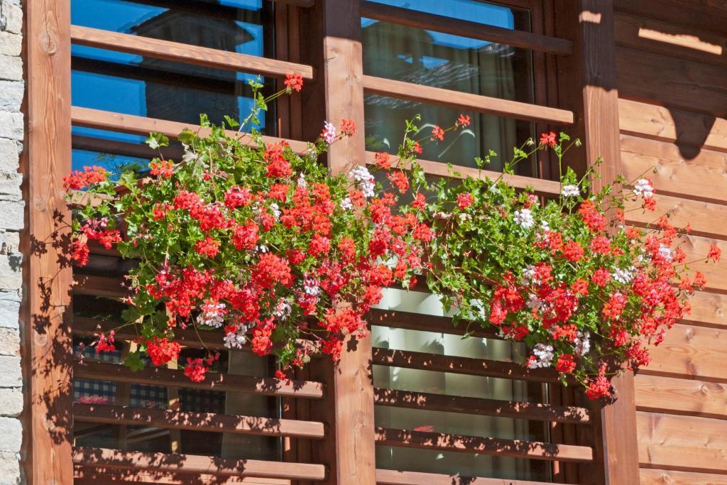 Pietre Gemelle Resort Alagna Valsesia Esterno foto